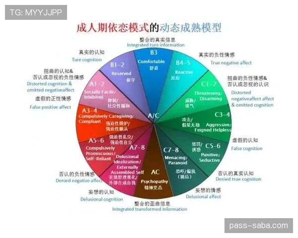 帕尔默与麦迪逊的进攻组织能力对比：战术角色如何塑造他们的场上作用